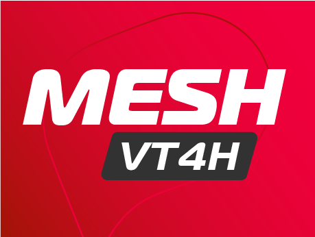 MESHVT4_H