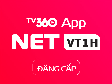 NETVT1H_DANGCAPBOX